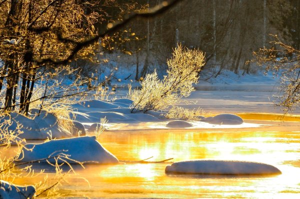 Весна солнце