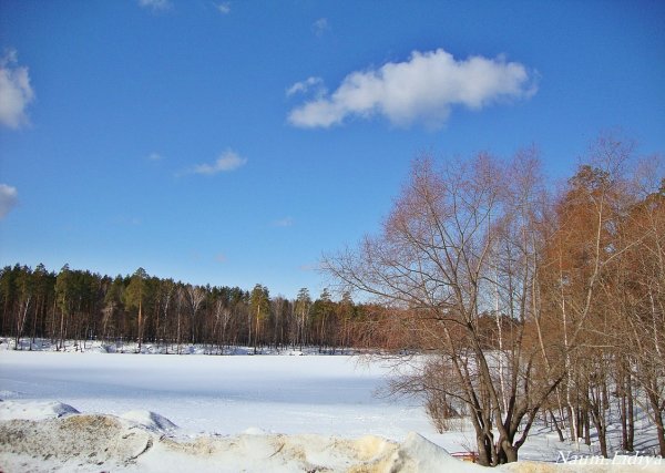 Ньургуһун сибэкки