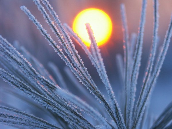 Зима солнце