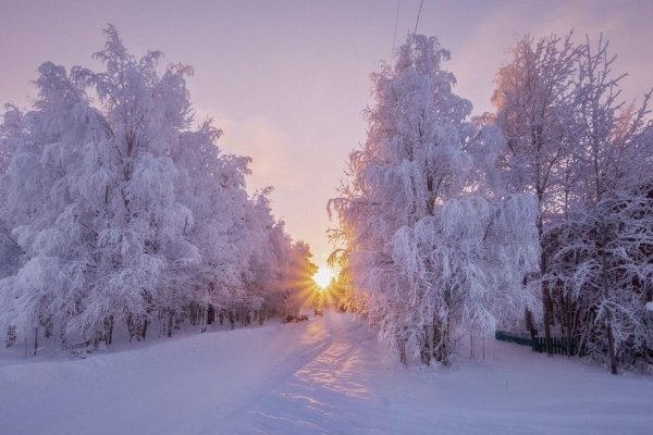 Морозное утро