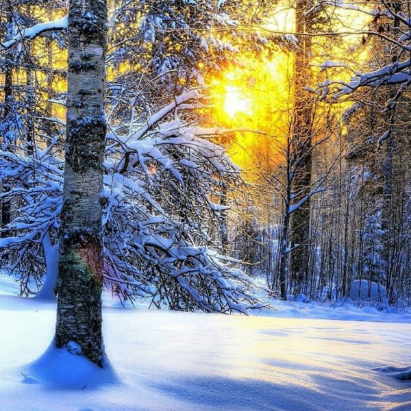 Морозное декабрьское утро