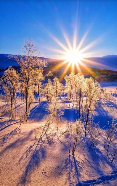 Морозное лето