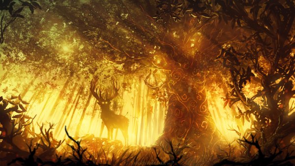 Фэнтези лес