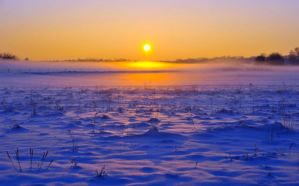 Сосульки капель