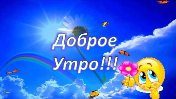 Доброе утро солнышко
