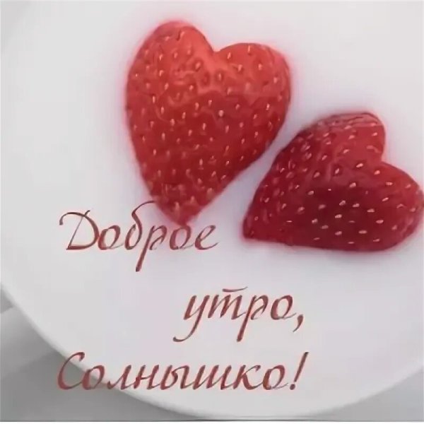 Доброго солнечного дня