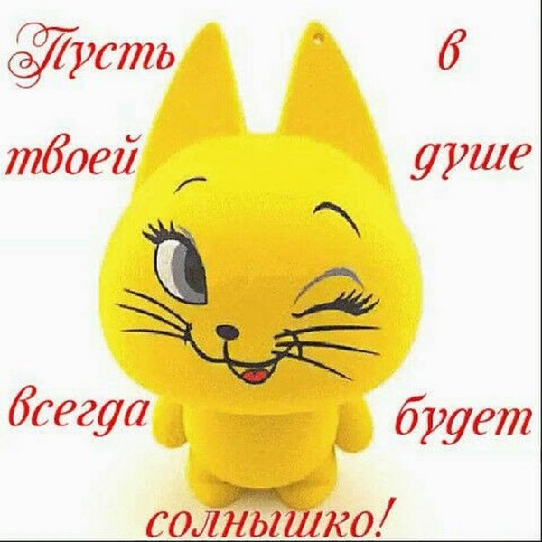 Привет солнышко