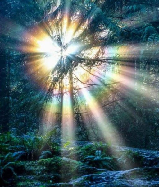 В Луче света