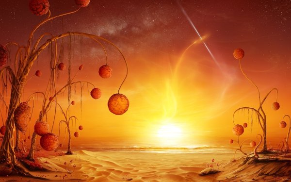 Сказочное царство солнца