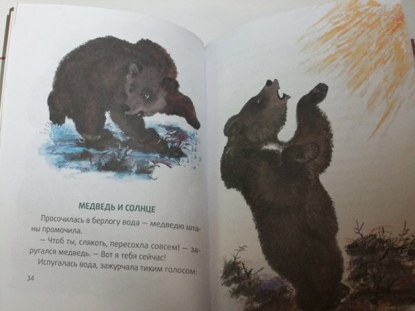Медведь-дармоед Сладков