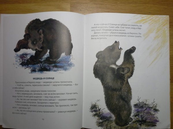 Сказка н Сладкова медведь и солнце с иллюстрациями