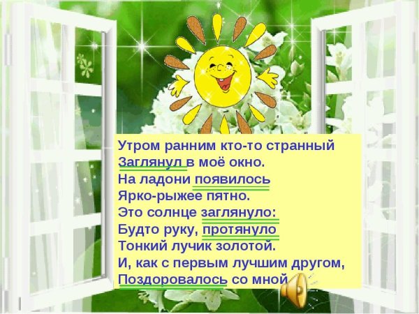 Цветы на окне
