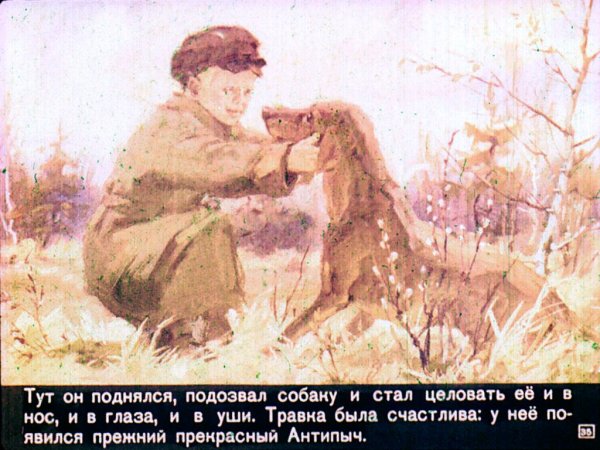 Евгений Рачев кладовая солнца