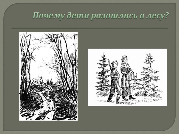 Иллюстрации к сказке кладовая солнца пришвин