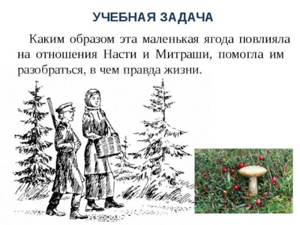 Пришвин кладовая солнца иллюстрации