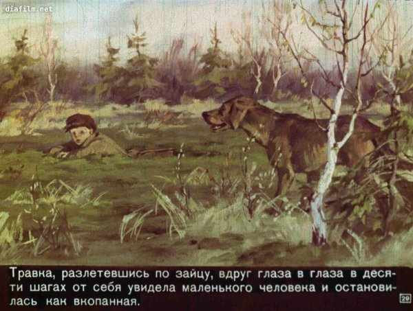 Собачка травка из кладовая солнца