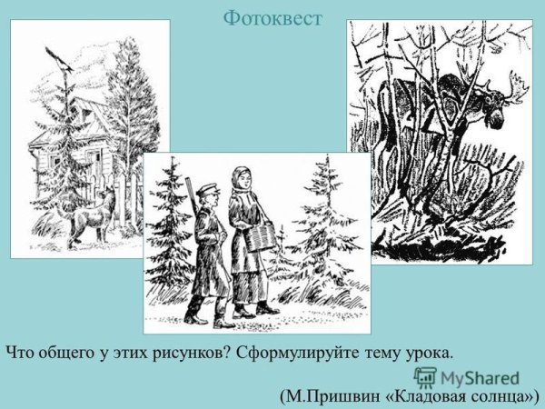Пришвин кладовая солнца иллюстрации