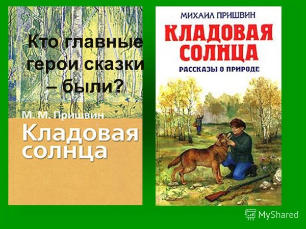 Кладовая солнца дети