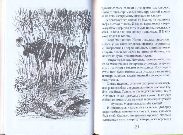 Иллюстрация к книге кладовая солнца