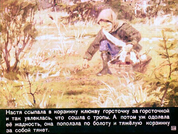 Митраша - м.м. пришвин «кладовая солнца»