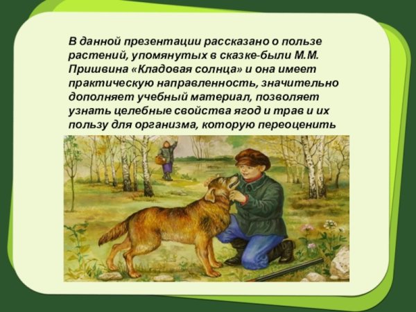 Куприн кладовая солнца
