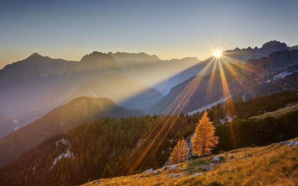 Лучи солнца