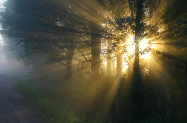 Лучезарное солнце