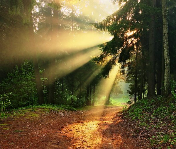 Доброе летнее солнечное утро субботы