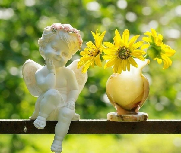 Солнце всегда восходит