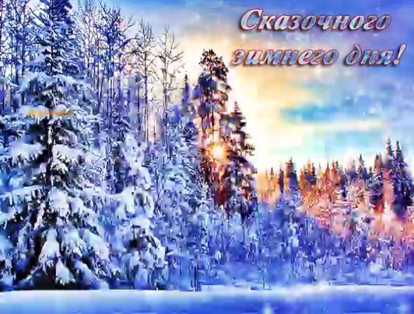 Цветы на окне зимой