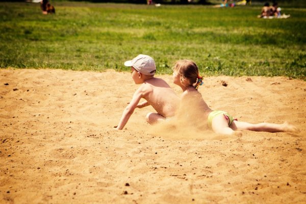 Борись за место под солнцем