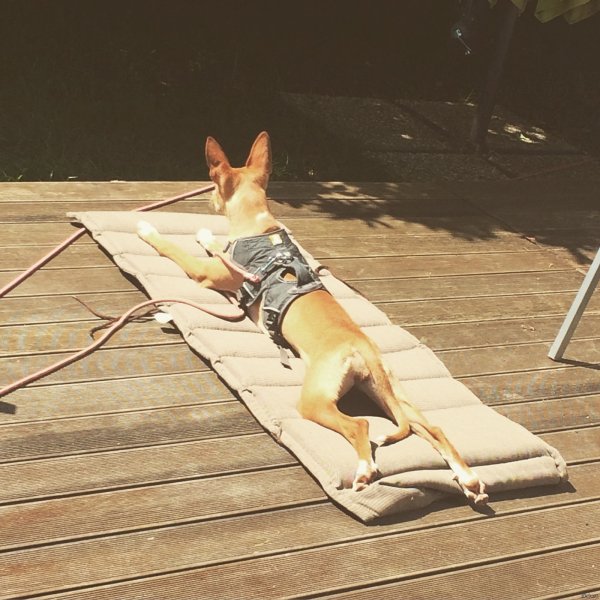 Найди свое место