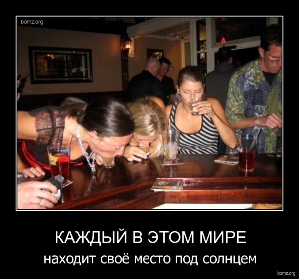 Борьба животных