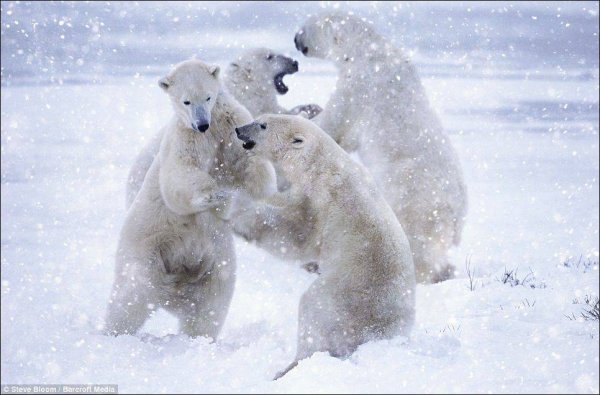 Оптимизм картинки