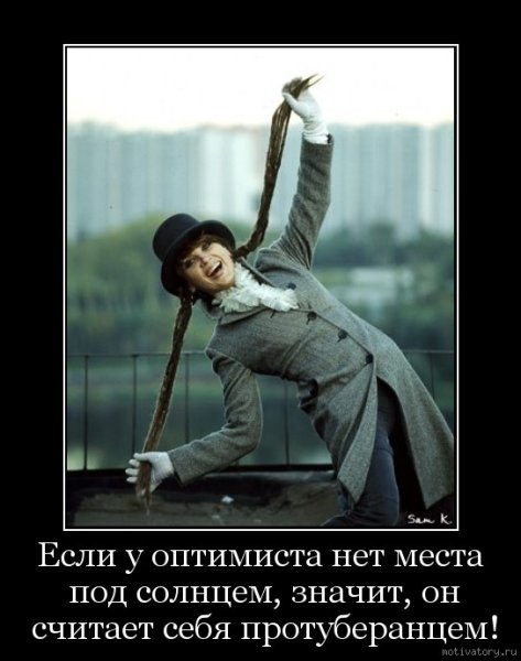 Львы дерутся