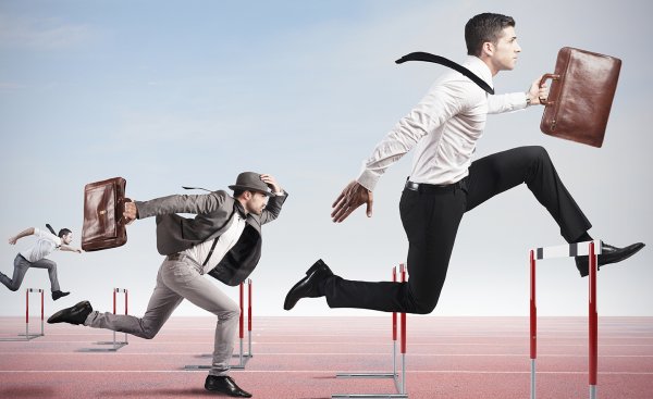 Кенгуру танцует