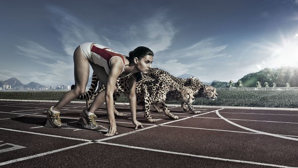 Решительность арт