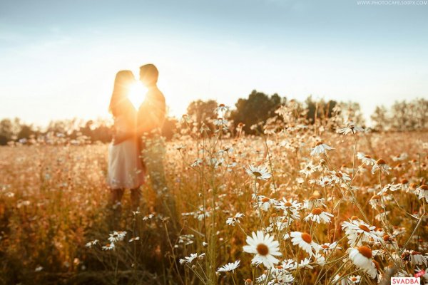 Русские против немцев