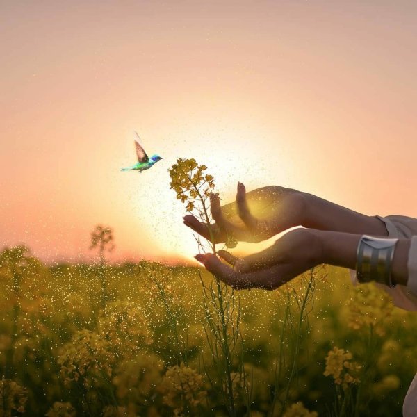 Смешные американские солдаты