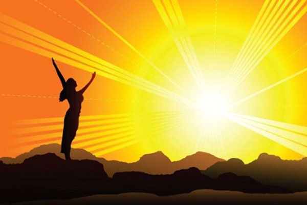 Межвидовое спаривание животных