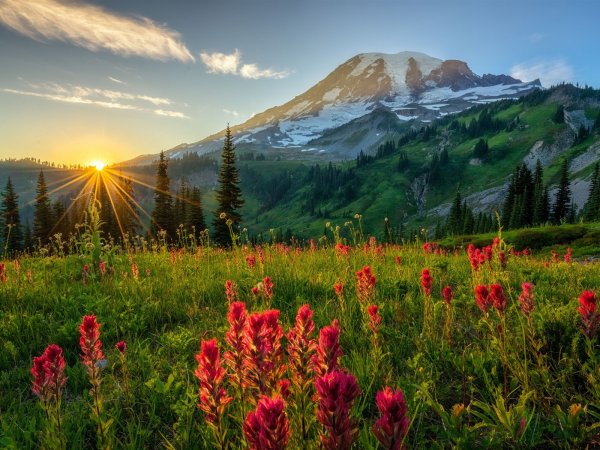 Рассвет фото