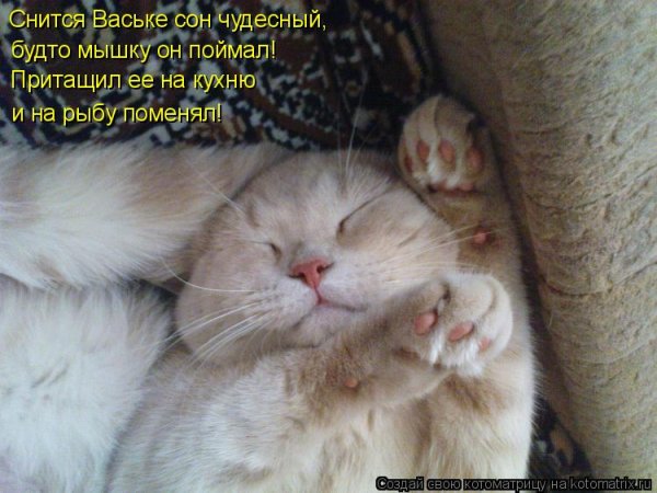 Стихи про капель