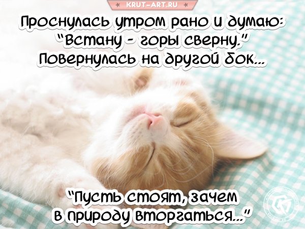 Открытки проснулись