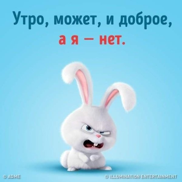 Доброе недоброе утро