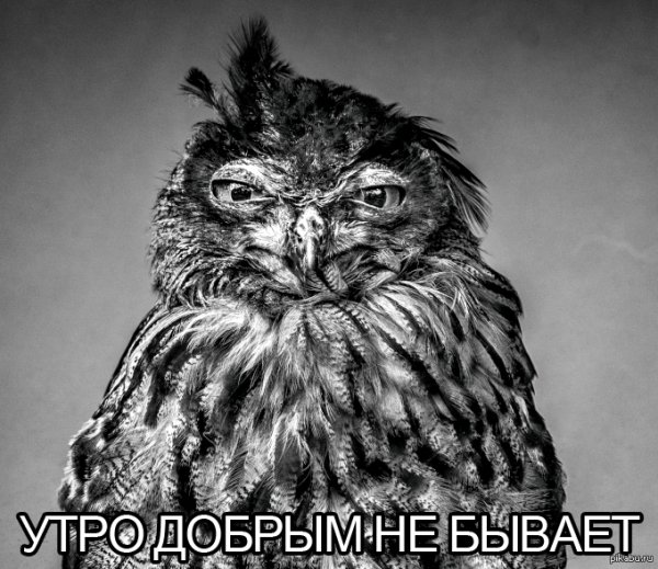Открытки с добрым утром солнышко