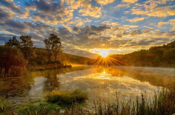 Природа рассвет