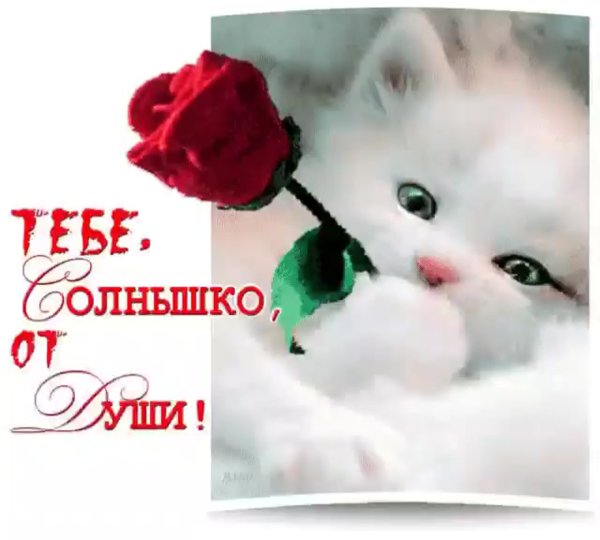 Доброе утро Солнечная девочка