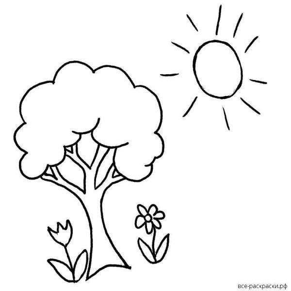 Солнце и растения