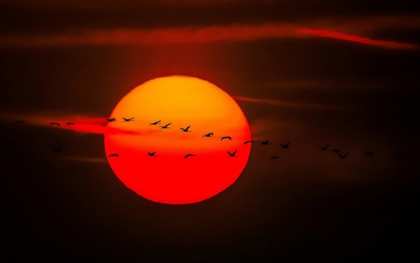 Красное солнце на закате