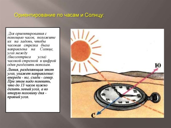 Если в полдень встать спиной к солнцу
